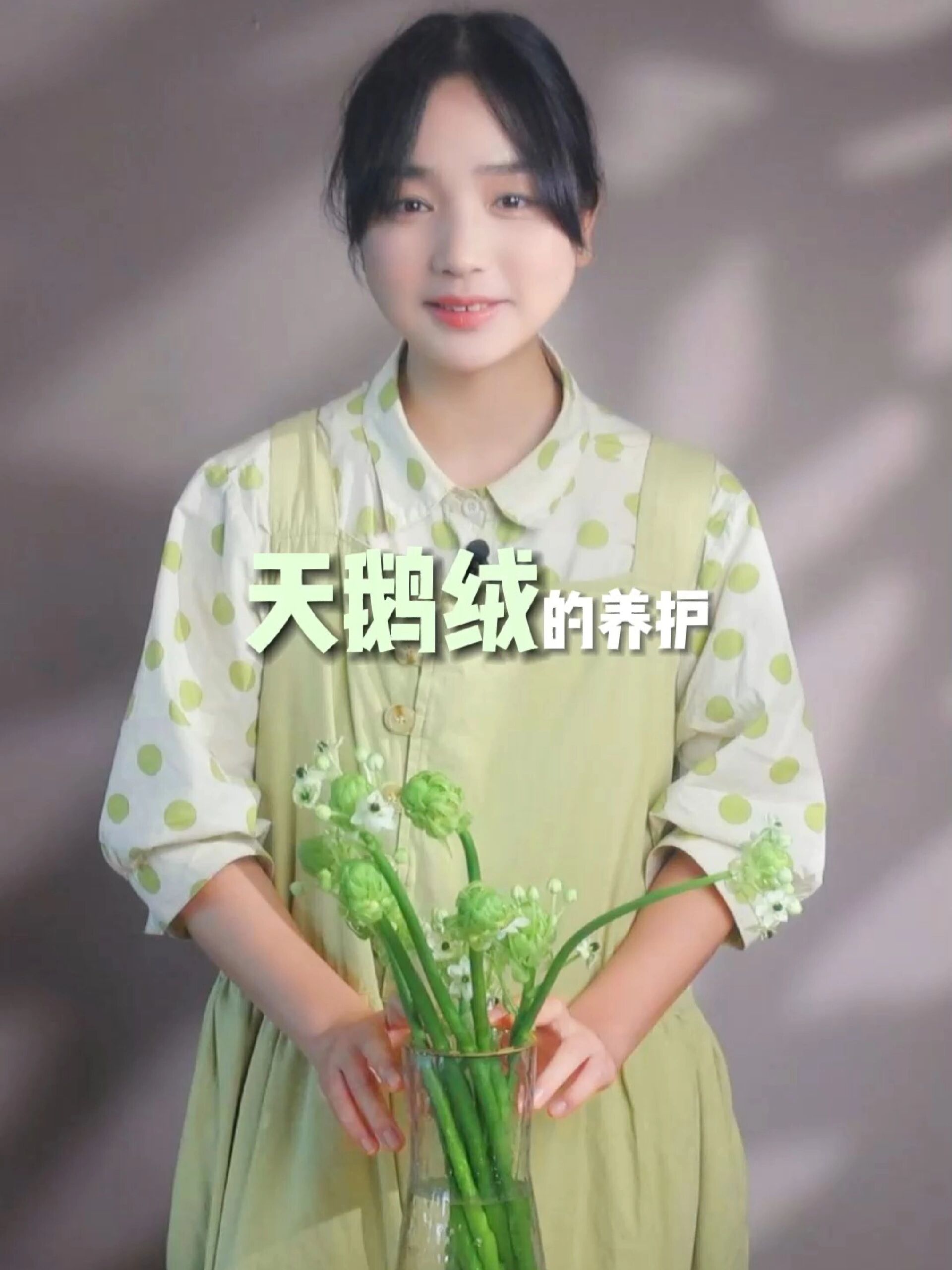 天鹅绒的养护方法和技巧