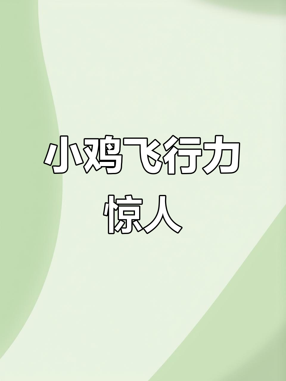 雀山鸡太能飞,发酵床被刨得乱七八糟,喂食也闹腾不停