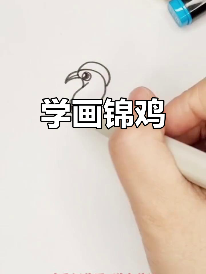 锦鸡简笔画步骤详解,轻松学会画可爱小动物