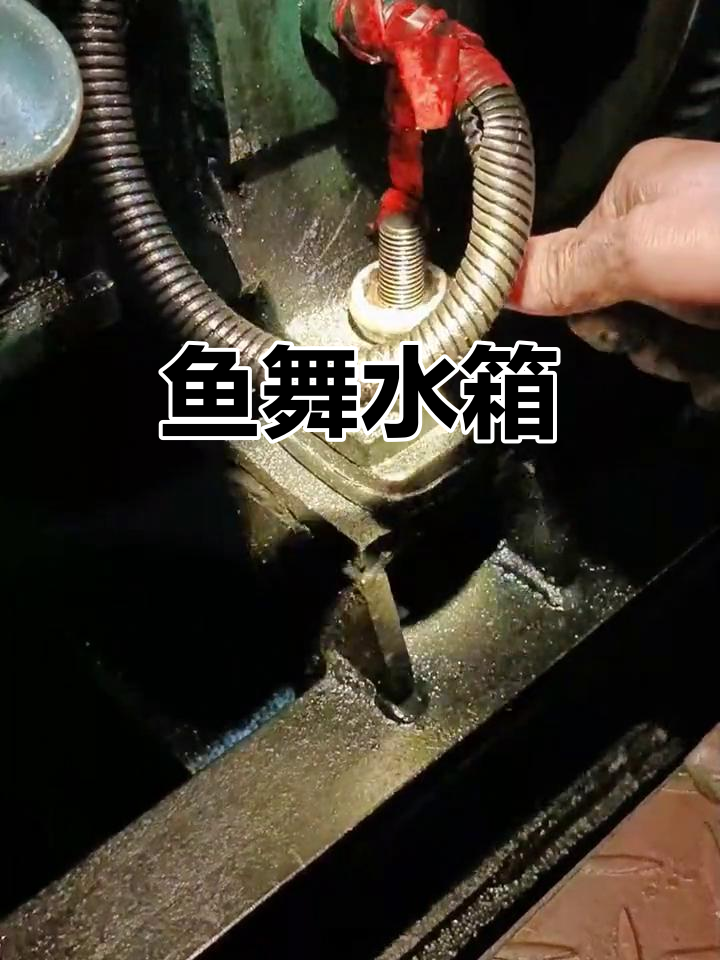 水箱里鱼儿欢舞,车后观察治疗完成
