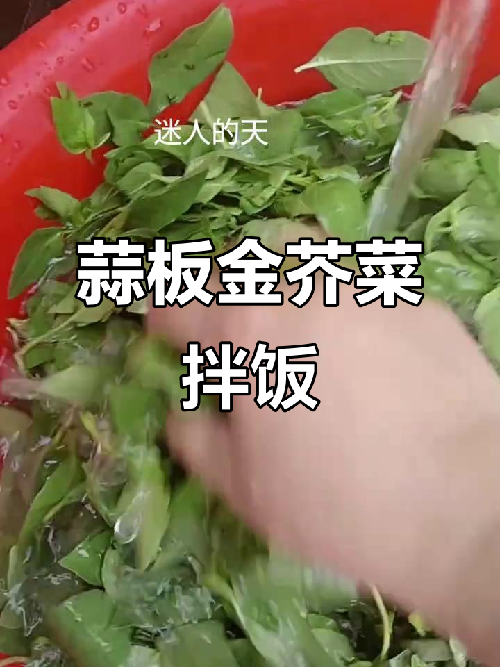 金芥菜拌蒜板,味道一绝!