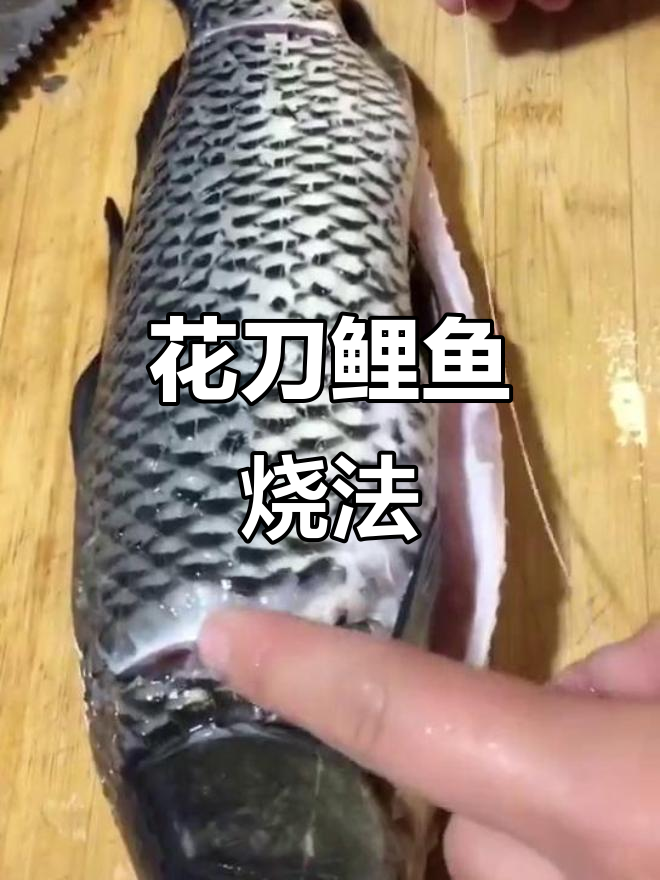 鲤鱼花刀煎制,麻辣鲜香配啤酒炖煮