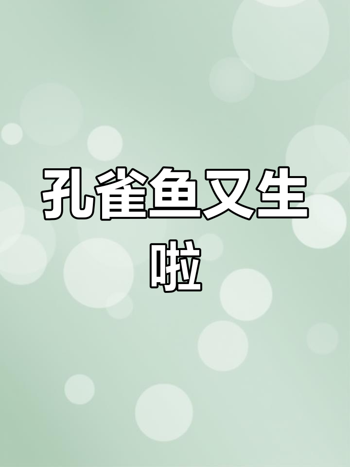 孔雀鱼疯狂下崽,一缸全是小生命