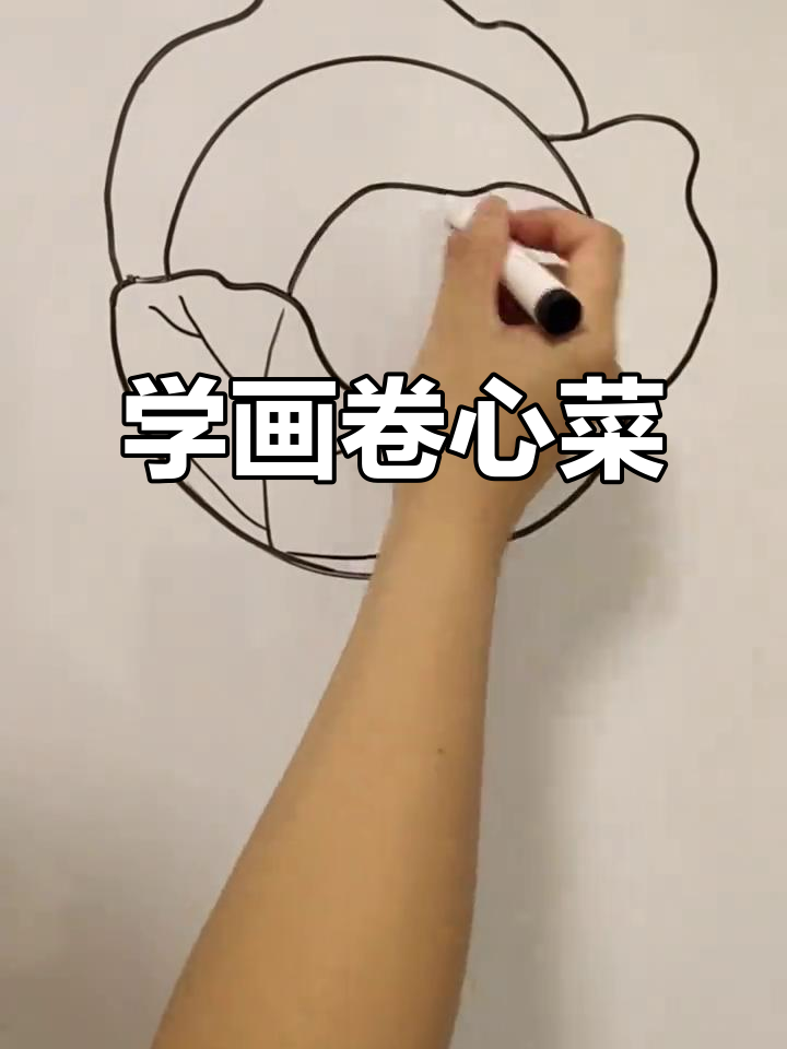 轻松学画卷心菜（包菜）简笔画，步骤简单有趣
