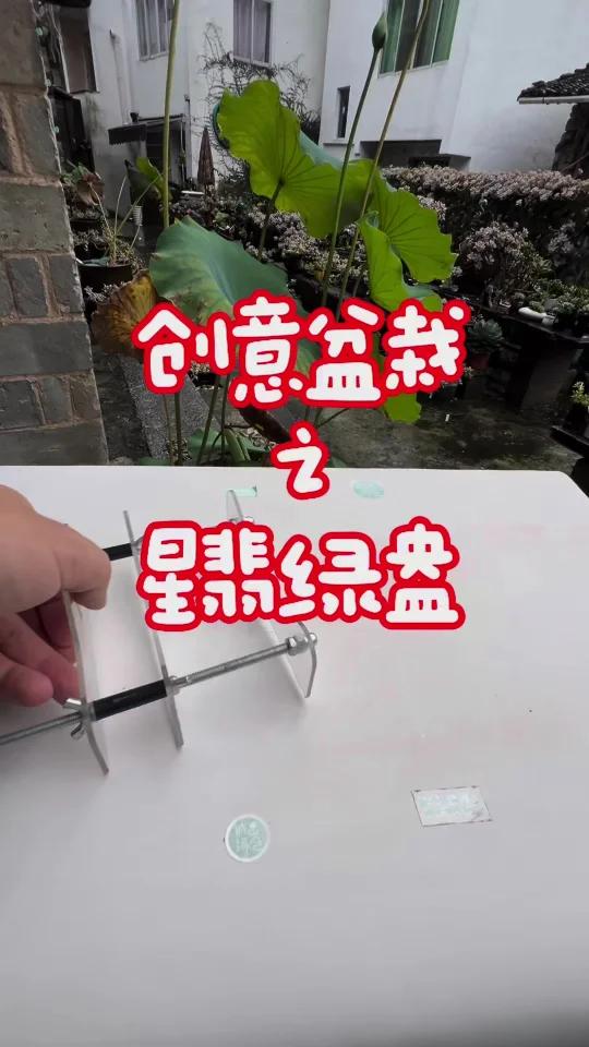 废旧玻璃瓶秒变多肉艺术盆栽！用热胀冷缩的魔法，手工DIY超简单！从切割到打磨，再到种出星翡