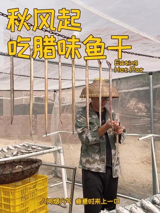 古人说“秋风起,吃腊味”,这个季节晒出来的鱼干有种淡淡的腊味香,这是秋冬季节独有的味道!三