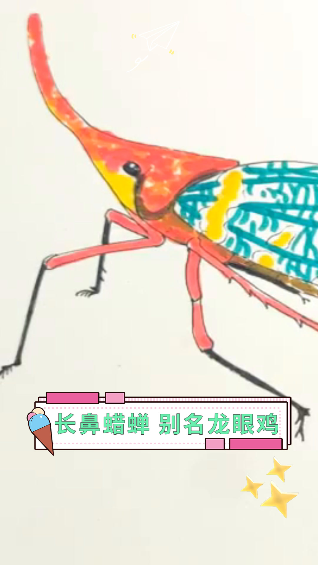 长鼻蜡蝉 别名龙眼鸡