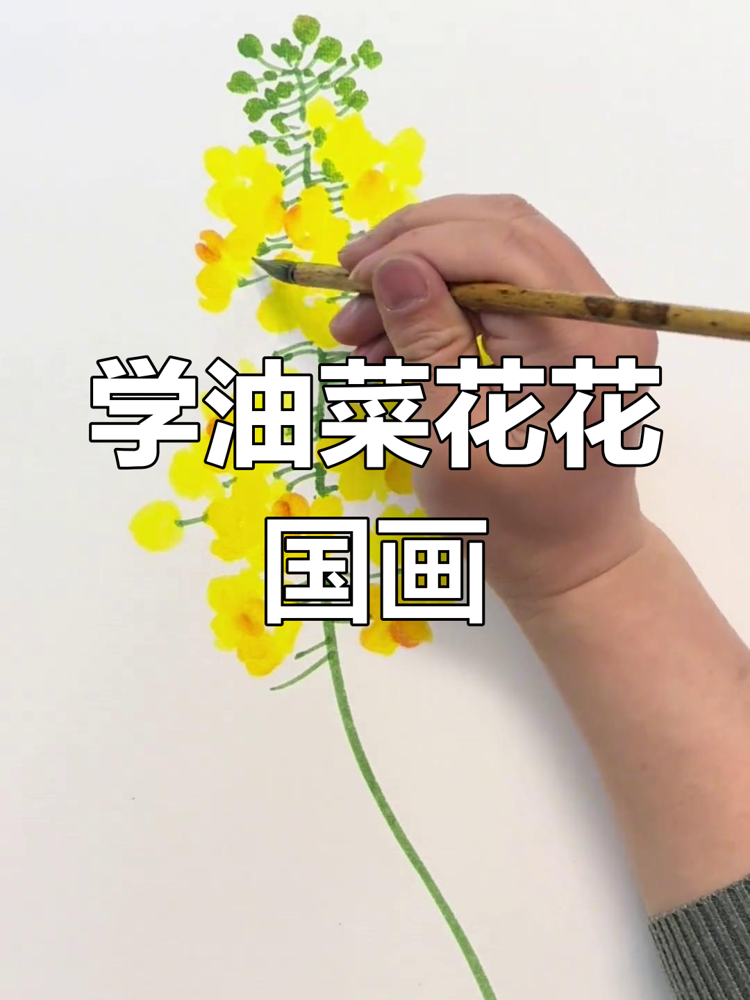 油菜花国画技巧,轻松画出美丽花朵与枝条
