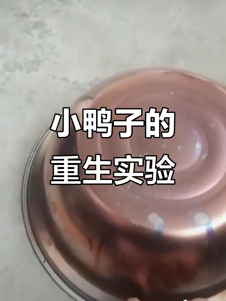 敲一敲小鸭子,竟然能复活?农场主亲自实验