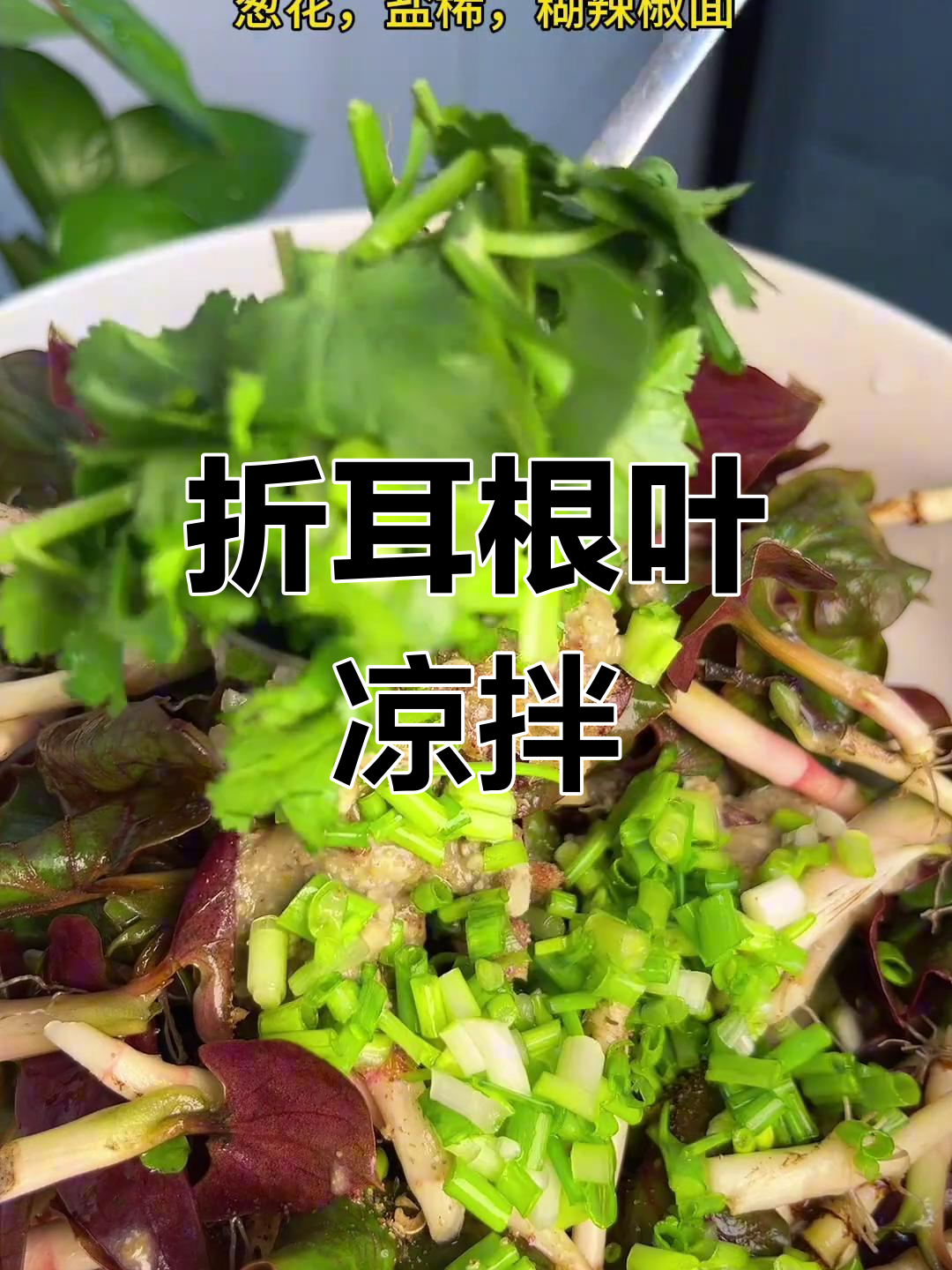 折耳根叶凉拌,简单又下饭,三碗打底!