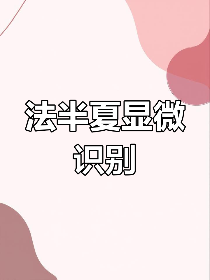 法半夏显微鉴别:淀粉粒、草酸钙真晶与导管特征解析