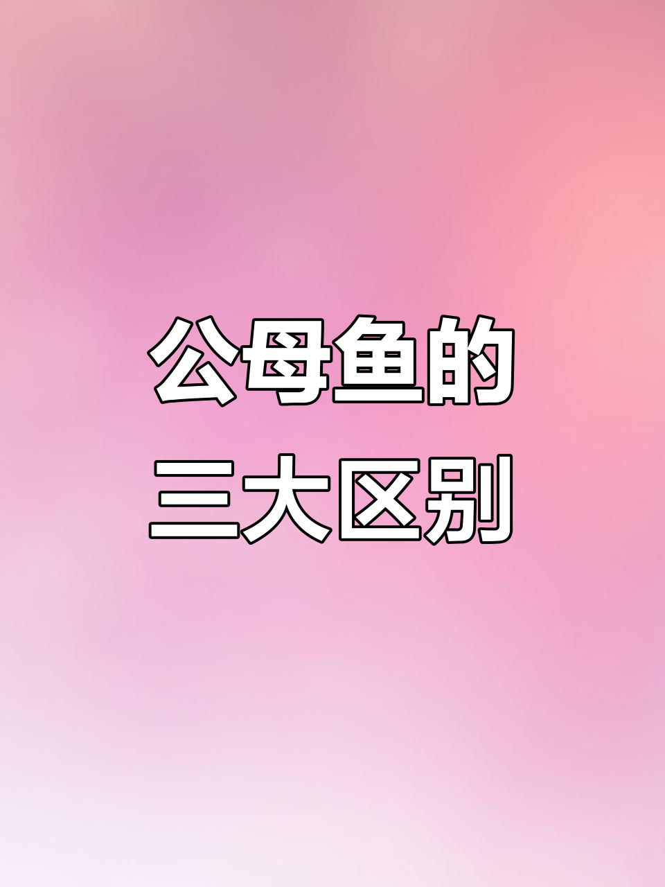分辨公母鱼,三个简单方法教你轻松辨别