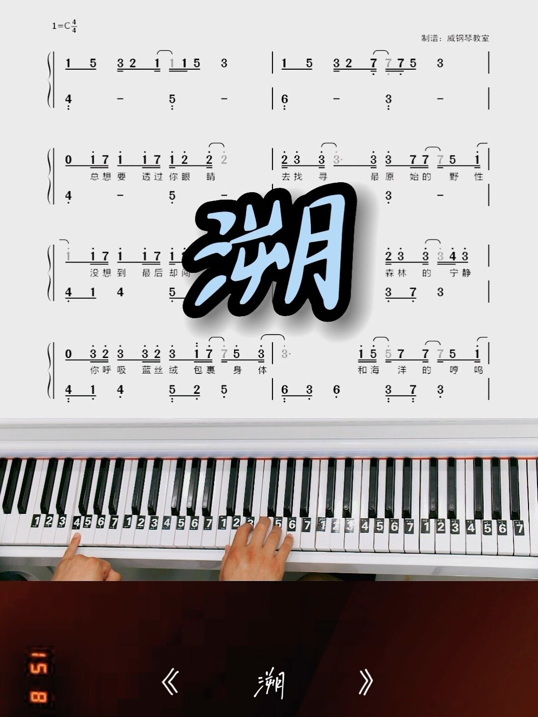 网热《溯》钢琴简谱教学改编简易