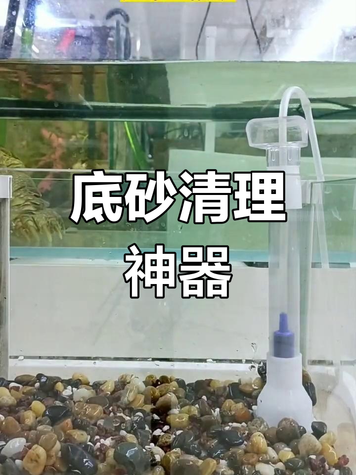 底滤板过滤系统,让鱼缸底部更清洁