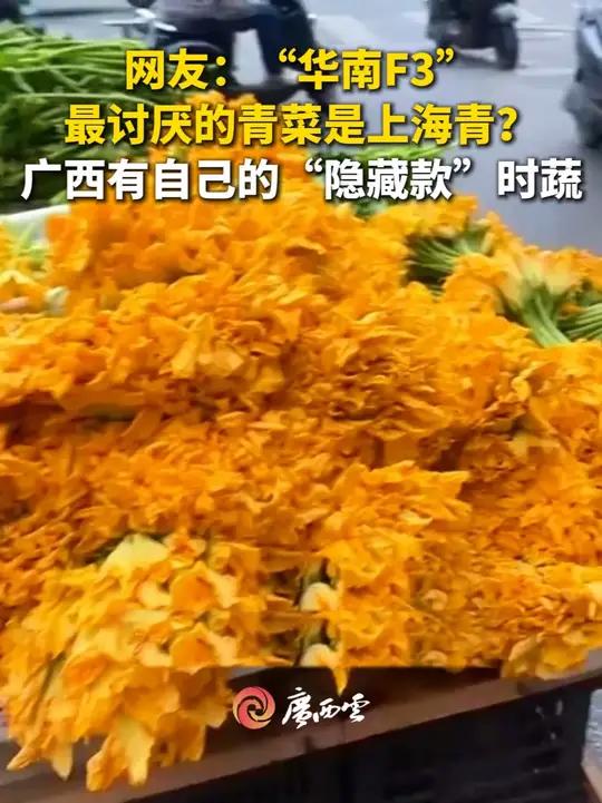 网友:“华南F3”最讨厌的青菜是上海青?阿桂:广西有自己的“隐藏款”时蔬!(来源:广西文化