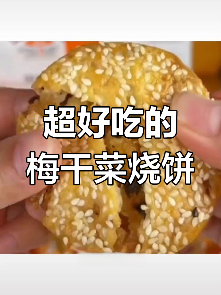 德辉薄酥饼:梅干菜肉松搭配,口感无敌的解馋小零食