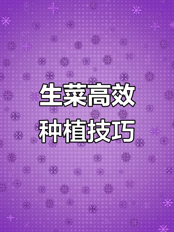 阳台种生菜,告别地栽!这样种植既美观又高级