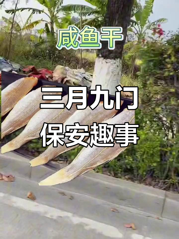 顺丰包邮,三月九门保安的奇妙故事