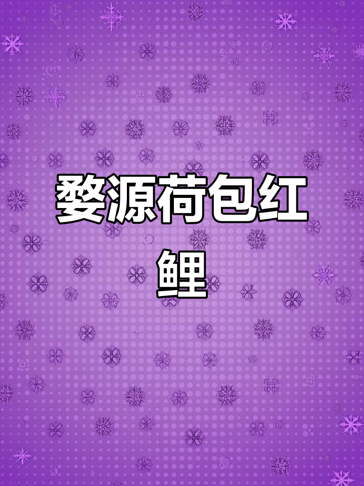 婺源荷包红鲤鱼苗,好运连连,古法养鱼的魅力