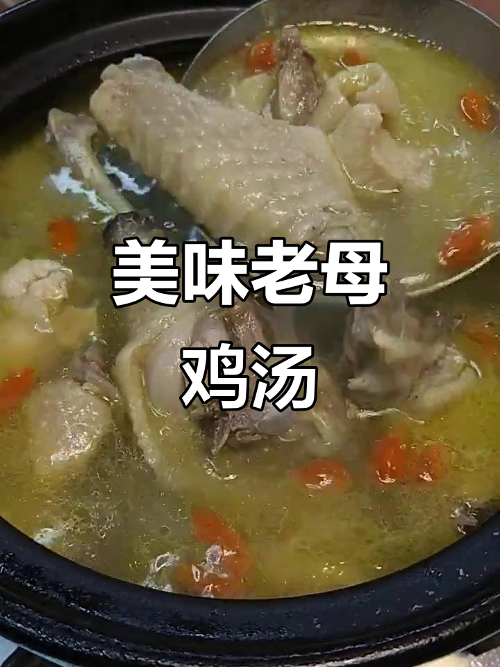 老母鸡炖山药,营养满满的美味鸡汤