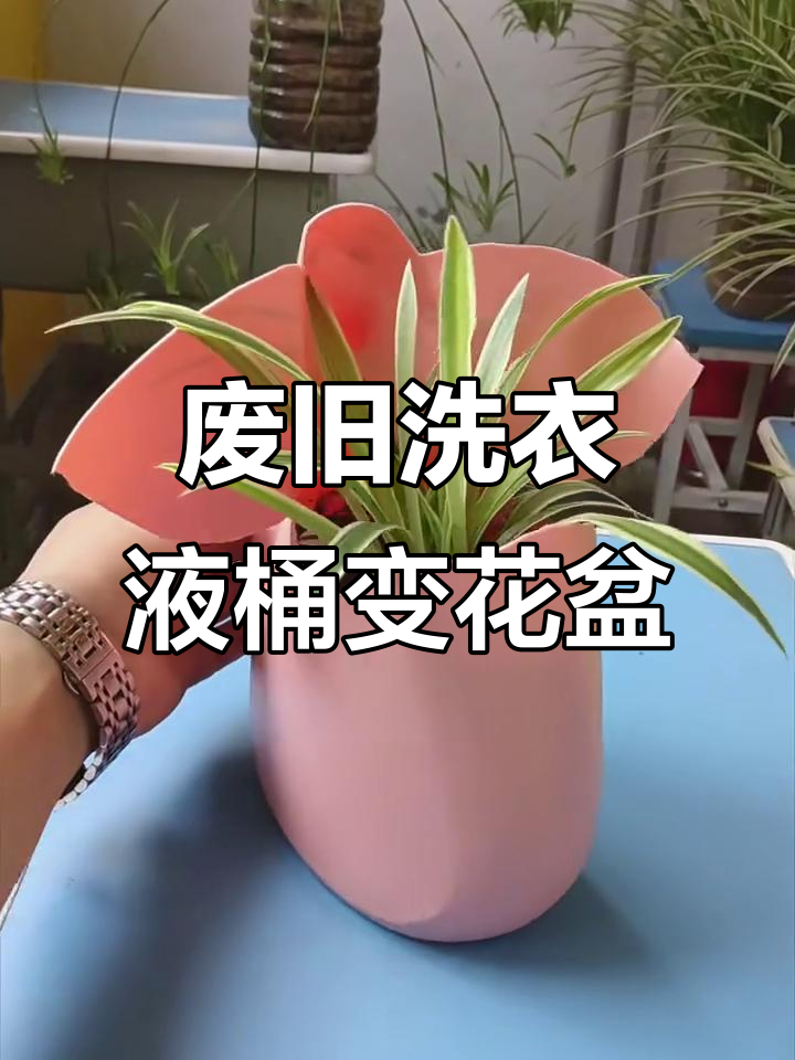 用洗衣液桶做吊兰花盆，简单又创意十足