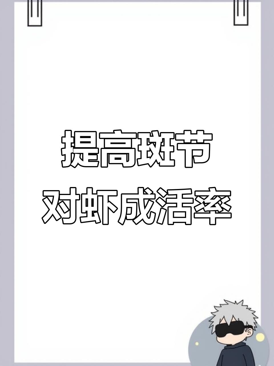 冬季斑节对虾养殖技巧:提高成活率的五大关键措施
