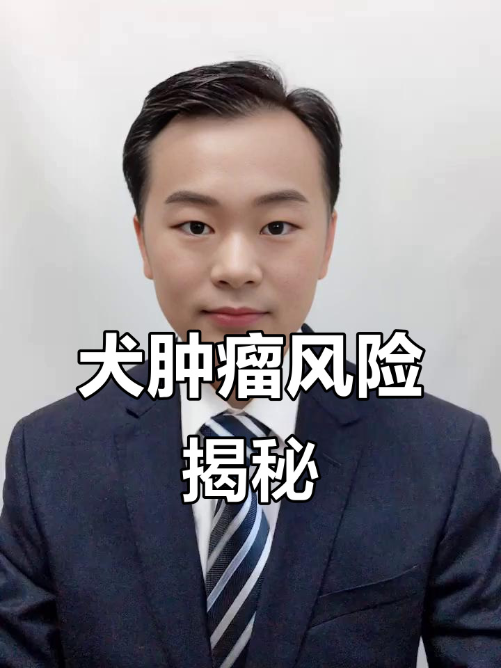 狗狗脾脏破裂背后的致命隐患：血管肉瘤的早期征兆与治疗
