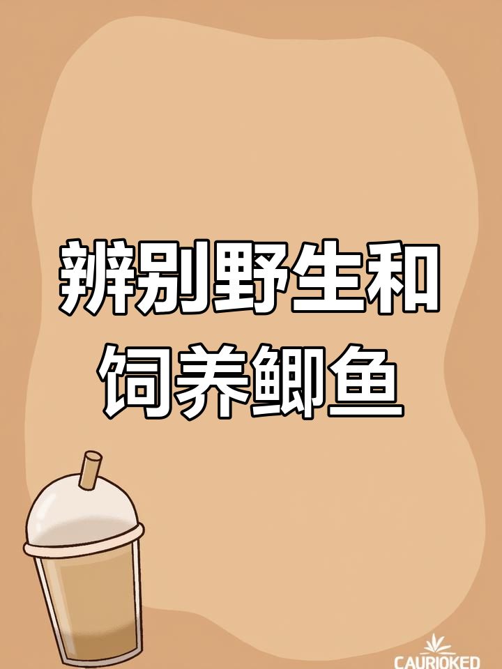 如何分辨野生鲫鱼与养殖鲫鱼的差异