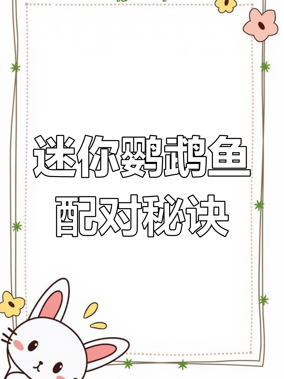 如何挑选迷你鹦鹉鱼配对,快速繁殖有技巧