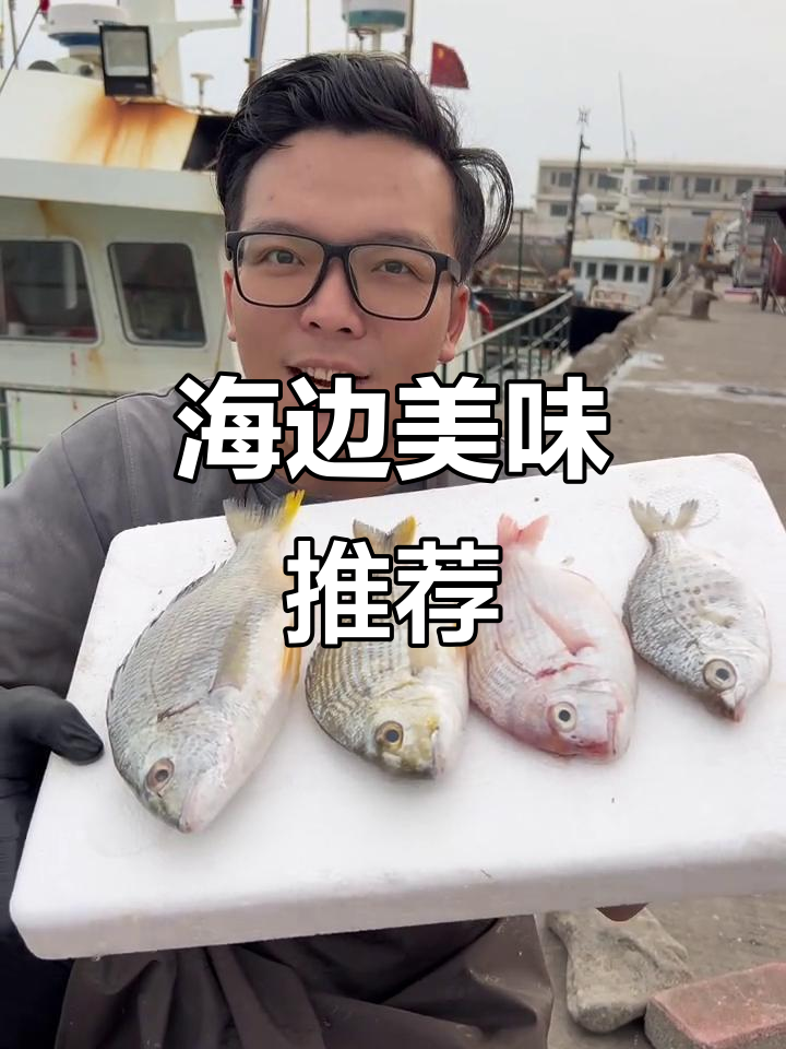 海边常见海鱼,价格亲民,纯野生口感绝佳!