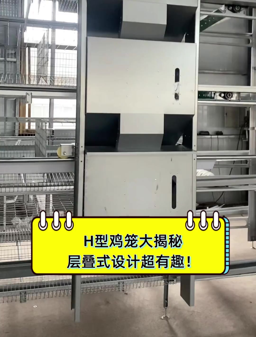 H型鸡笼大揭秘,层叠式设计超有趣!