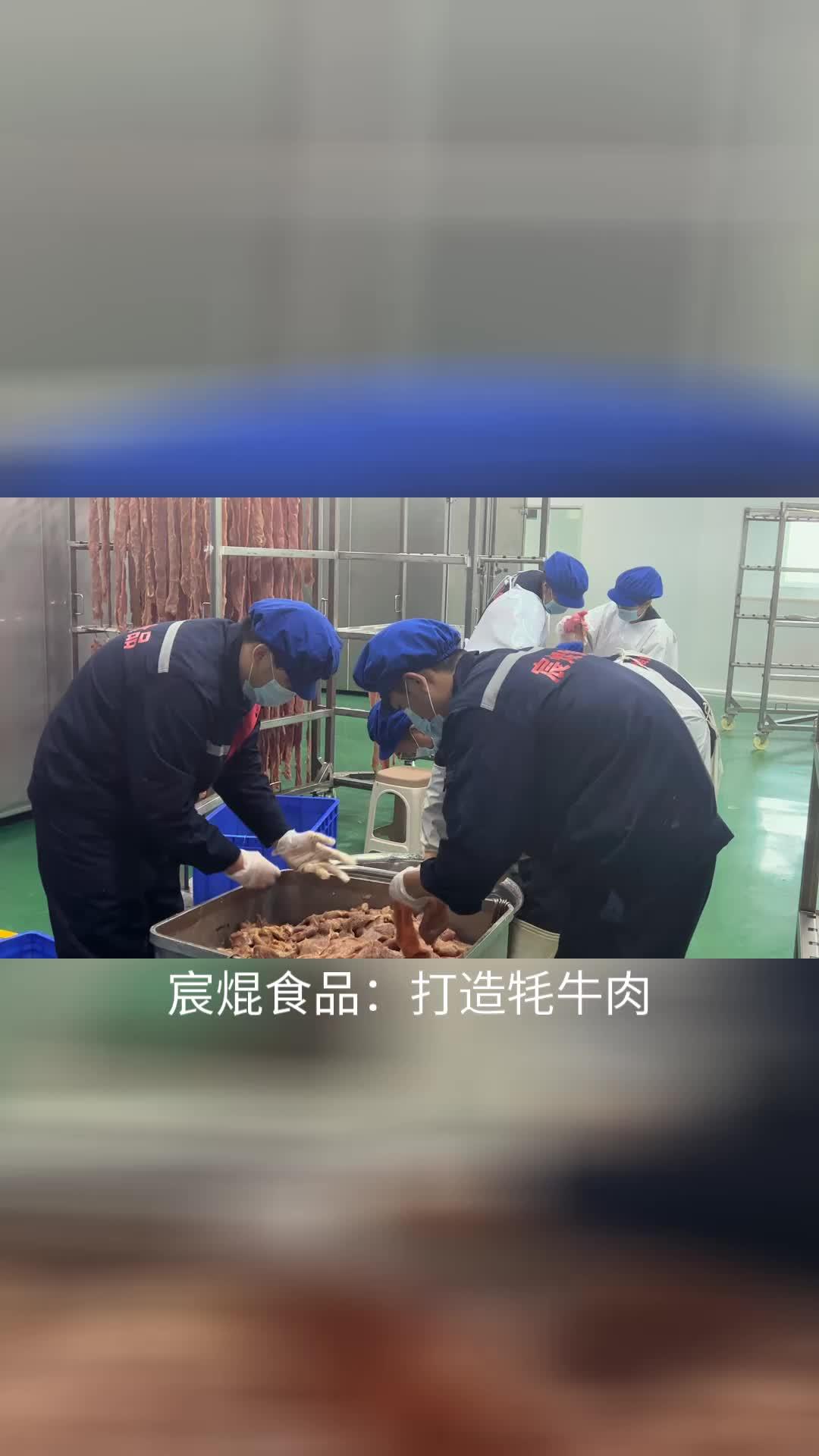 95. 牦牛肉干制作大揭秘:宸焜食品的匠心独运 95. 牦牛肉干制作大揭秘:宸焜食品的匠心