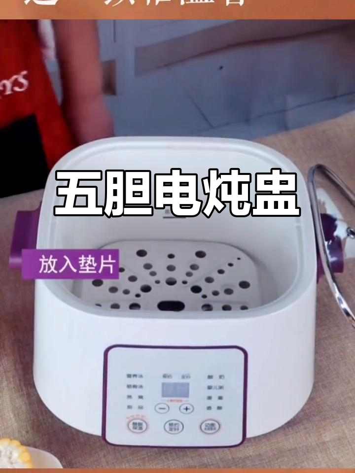 苏泊尔紫陶炖锅，五胆隔水炖燕窝养生汤