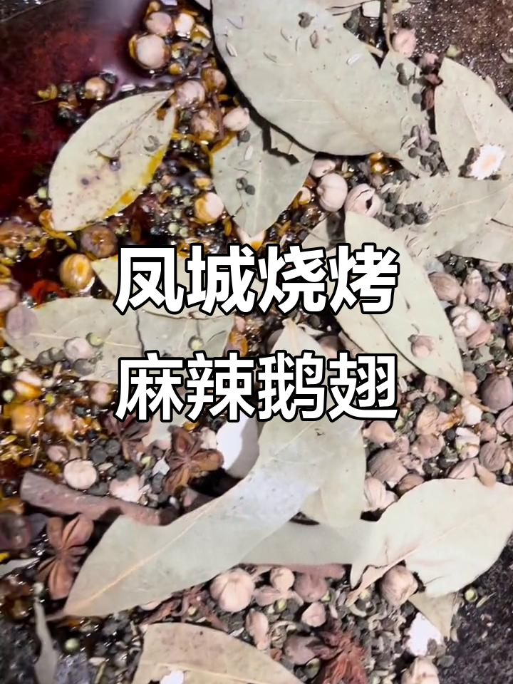 凤城烧烤的秘密:麻辣鹅翅,真材实料才能做出这味道