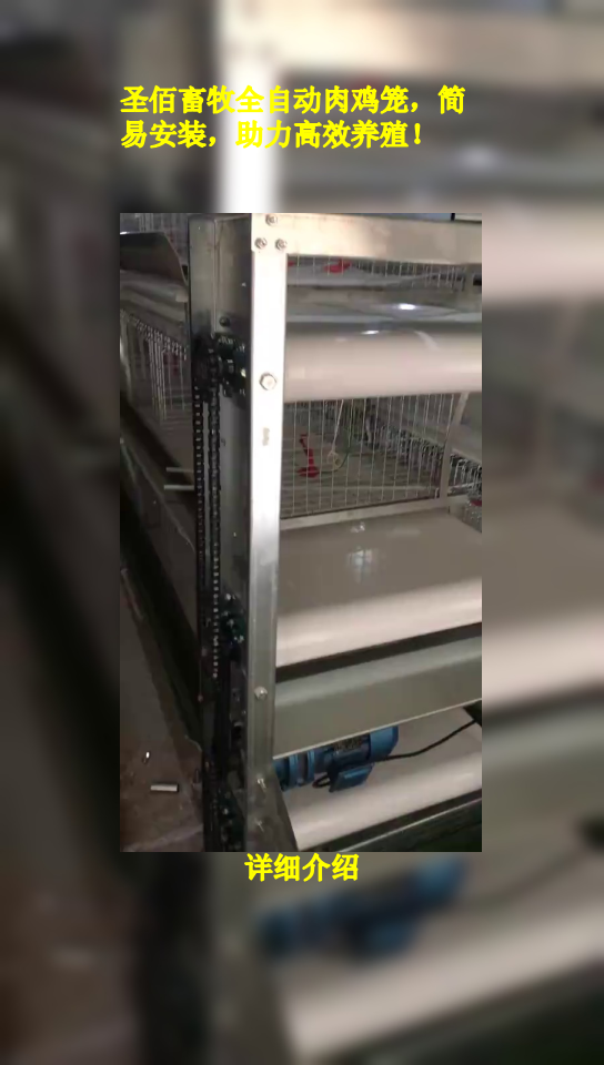 圣佰畜牧全自动肉鸡笼,简易安装,助力高效养殖!