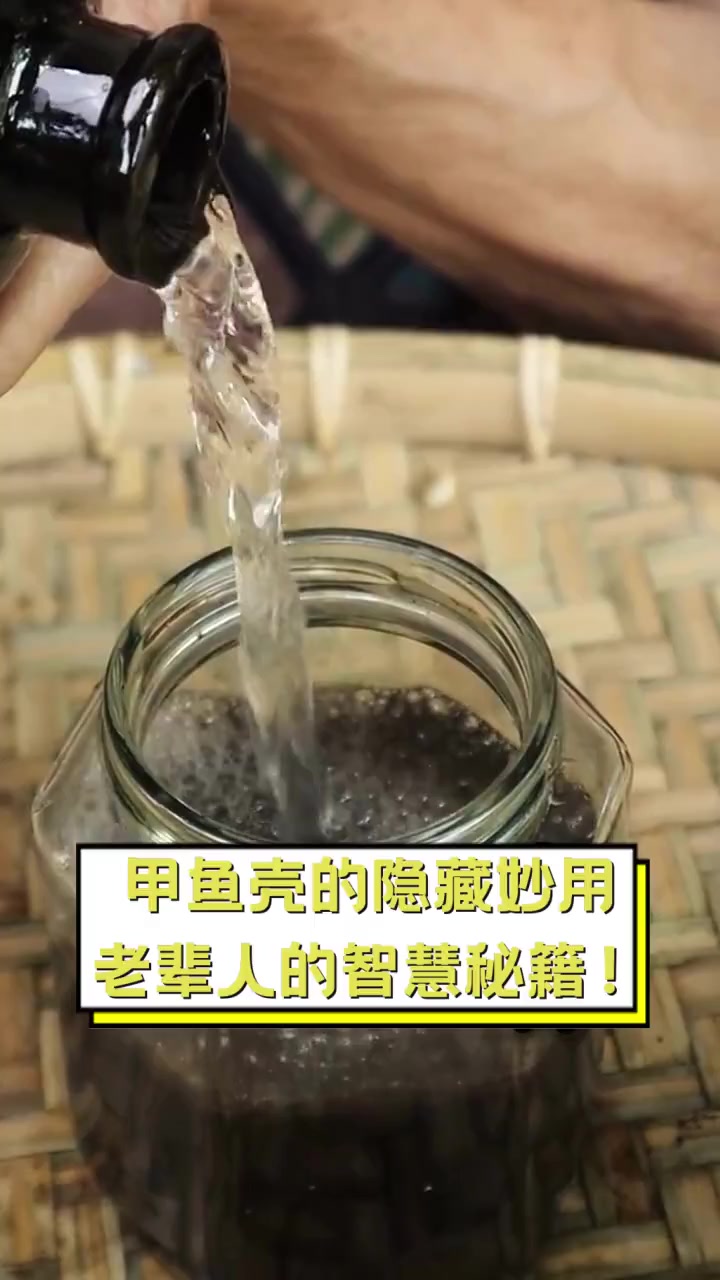 甲鱼壳的隐藏妙用,老辈人的智慧秘籍!