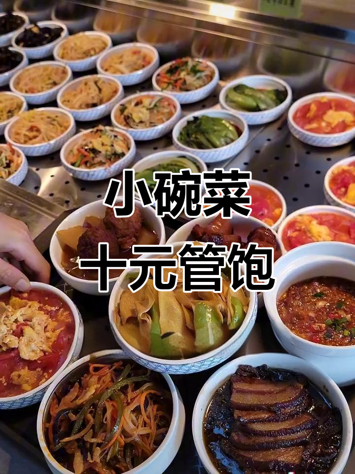 十元吃饱!小碗菜荤素搭配,快餐新选择