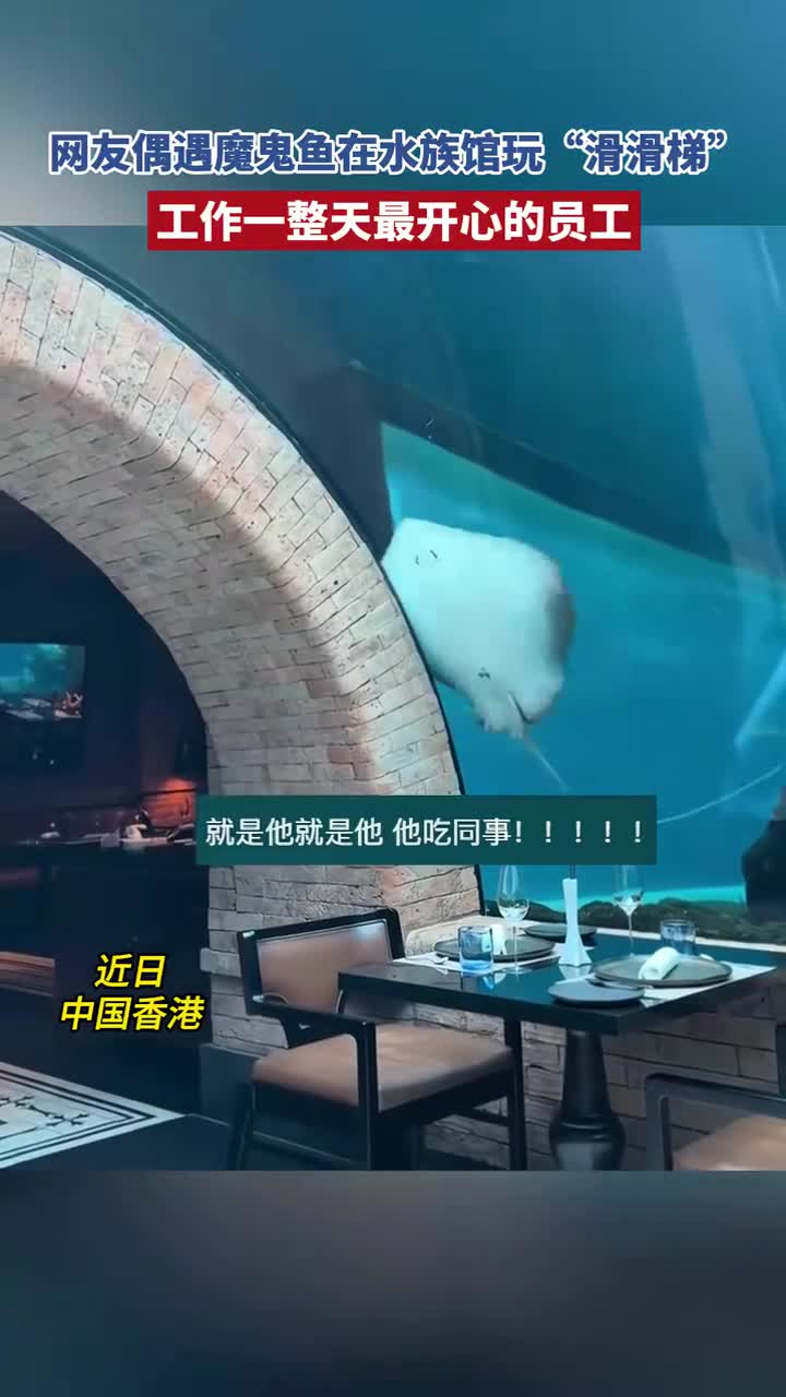 网友偶遇魔鬼鱼在水族馆玩“滑滑梯”:工作一整天最开心的员工