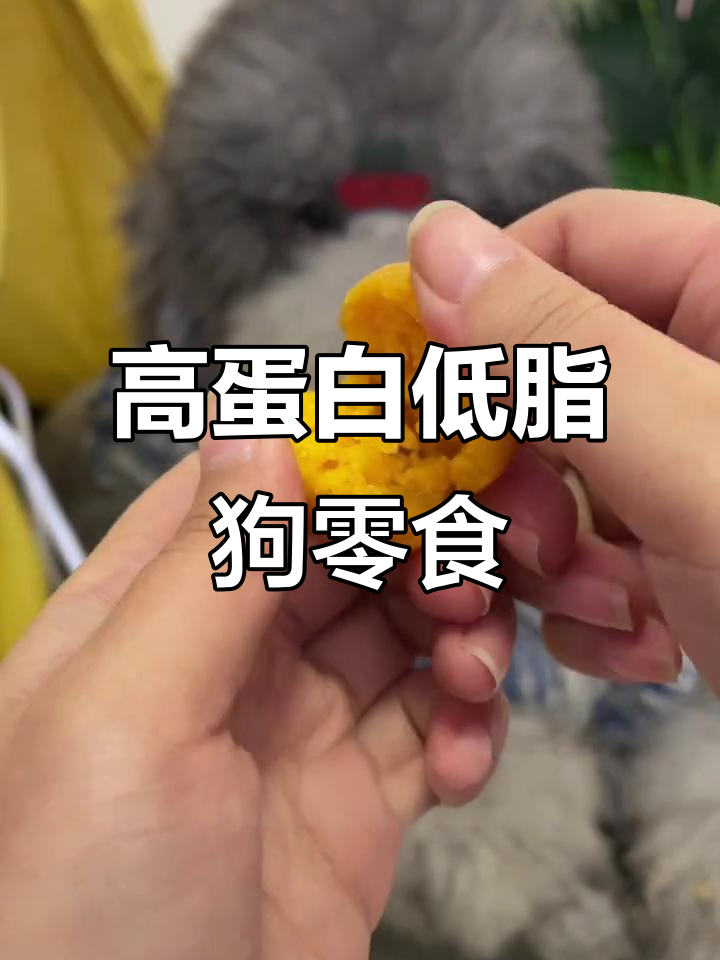 鸡肉鸭肉蛋黄搭配,营养满分又解馋的狗狗零食