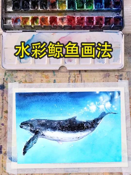 零基础水彩入门简单鲸鱼教程