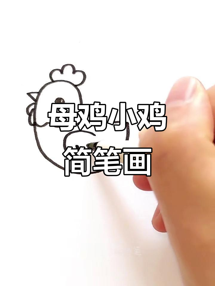 母鸡和小鸡的简单画法，轻松学会