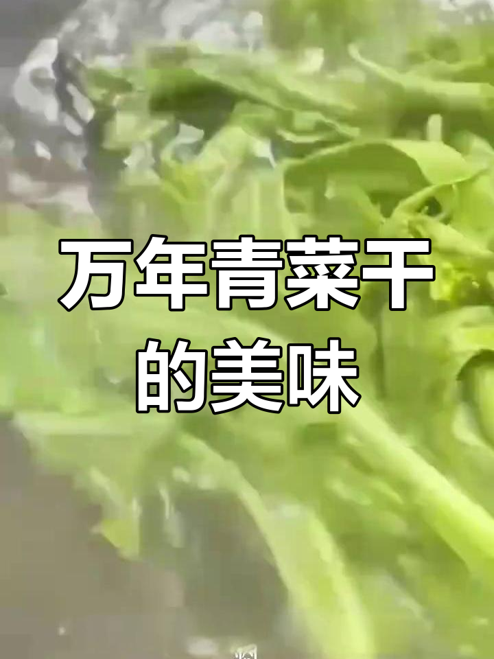 春天的味道:万年青野菜,鲜嫩爽口又营养