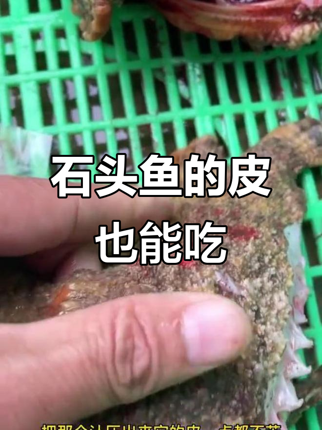 吃石头鱼时别剥皮,营养全在皮上!教你正确做法