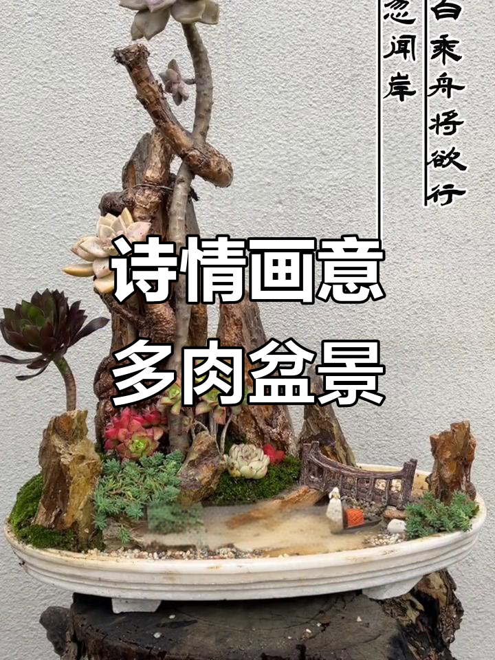 多肉造景与诗意相融,打造独特盆栽风格
