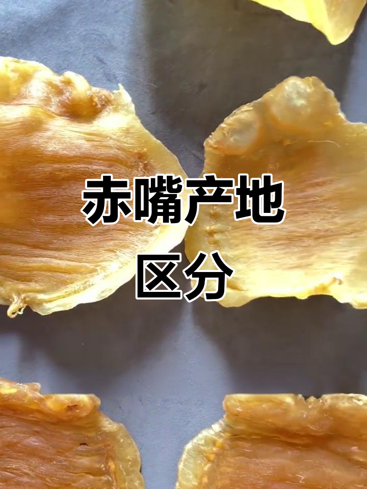 野生赤嘴产地辨别小技巧,分享与交流