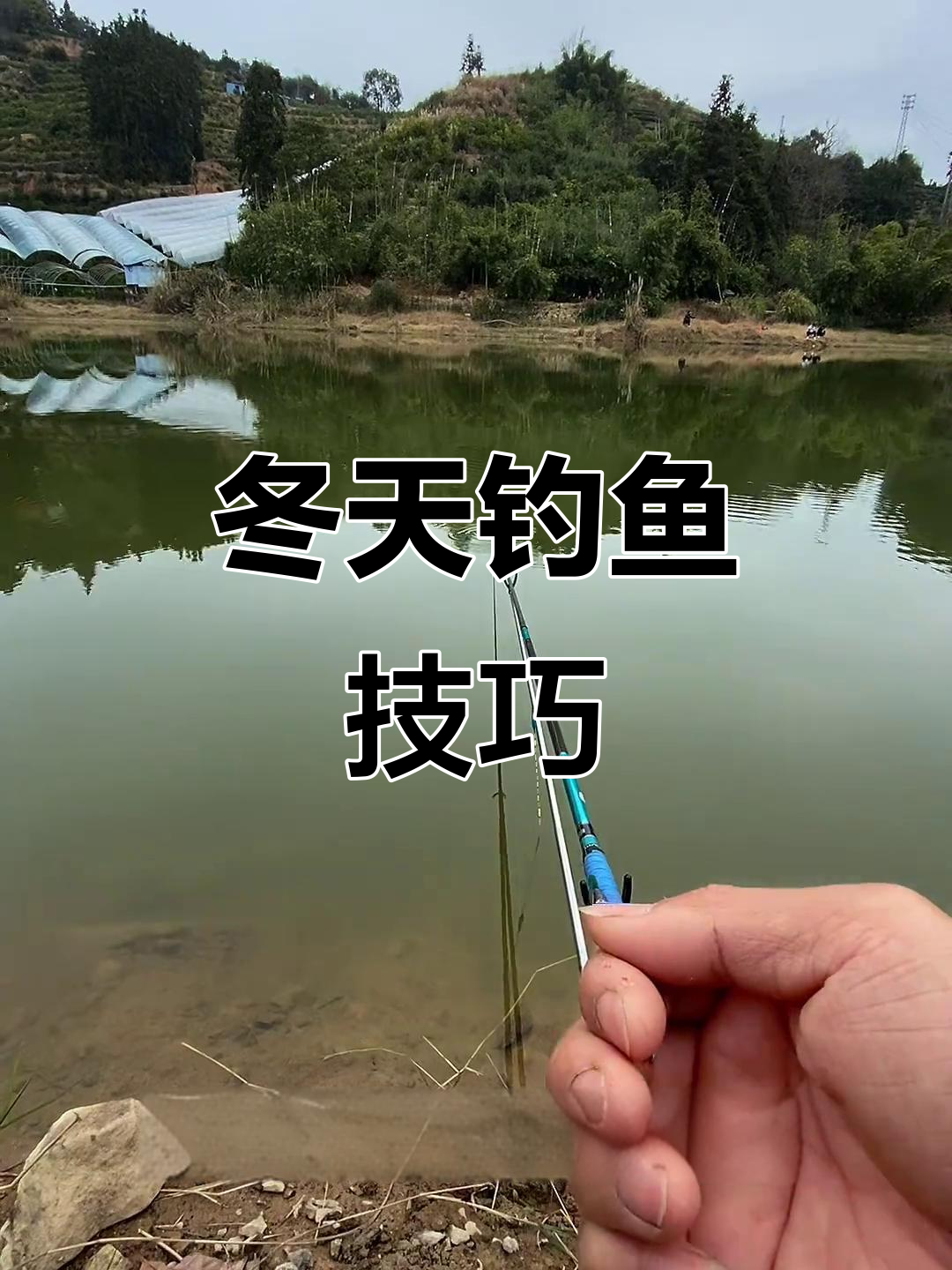 冬季钓鲫鱼,蚯蚓比麦穗更有效