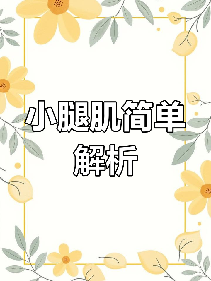 小腿肌肉解剖详解,前臂更复杂