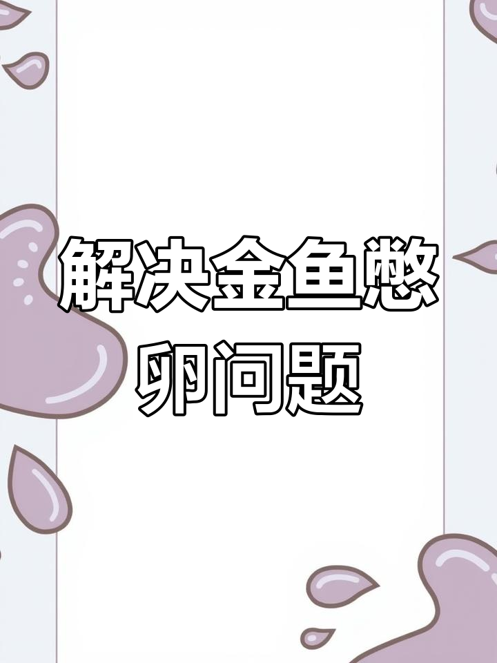 金鱼憋卵怎么办?如何处理母鱼的繁殖问题