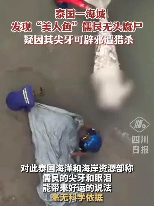 泰国一海域发现无头“美人鱼”,疑因猎人迷信其尖牙可辟邪遭猎杀 泰国 美人鱼 万万想不到