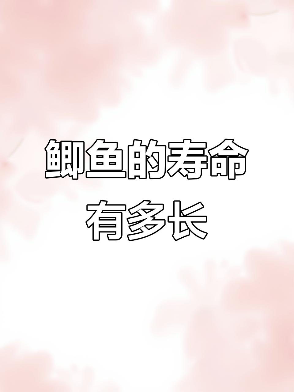 鲫鱼寿命揭秘:能活多久?